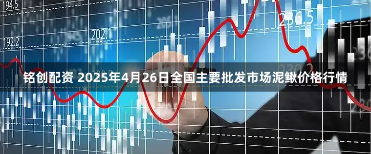 铭创配资 2025年4月26日全国主要批发市场泥鳅价格行情