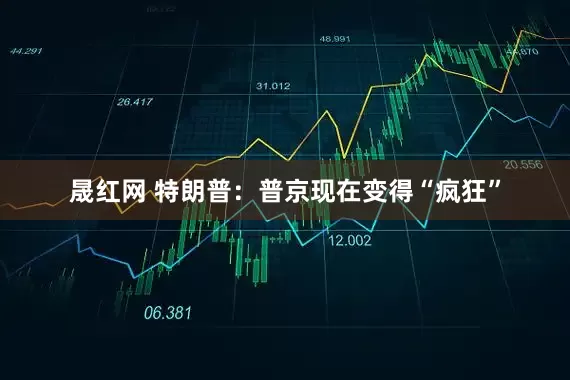 晟红网 特朗普：普京现在变得“疯狂”