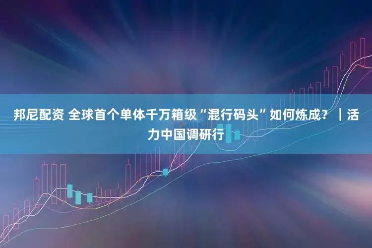 邦尼配资 全球首个单体千万箱级“混行码头”如何炼成？｜活力中国调研行