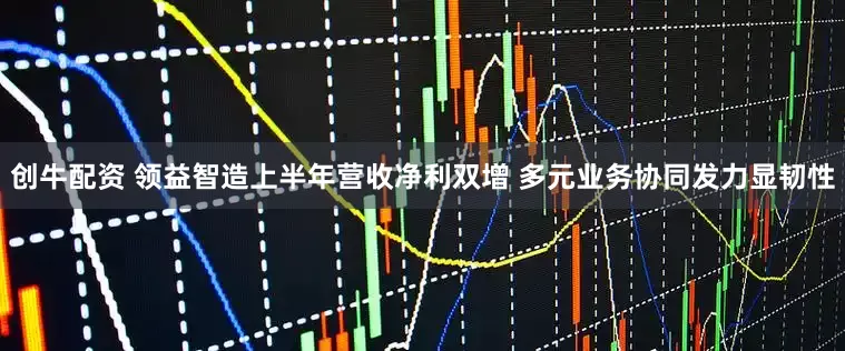 创牛配资 领益智造上半年营收净利双增 多元业务协同发力显韧性