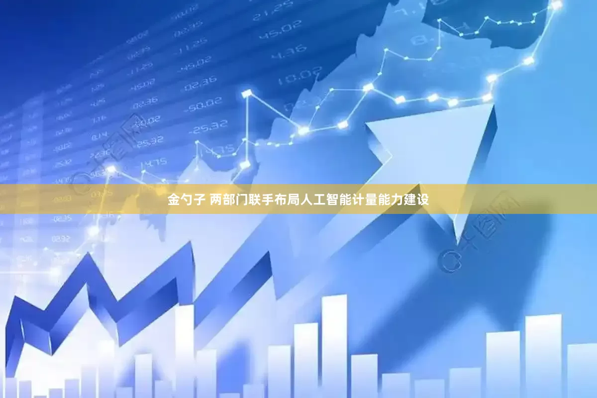 金勺子 两部门联手布局人工智能计量能力建设